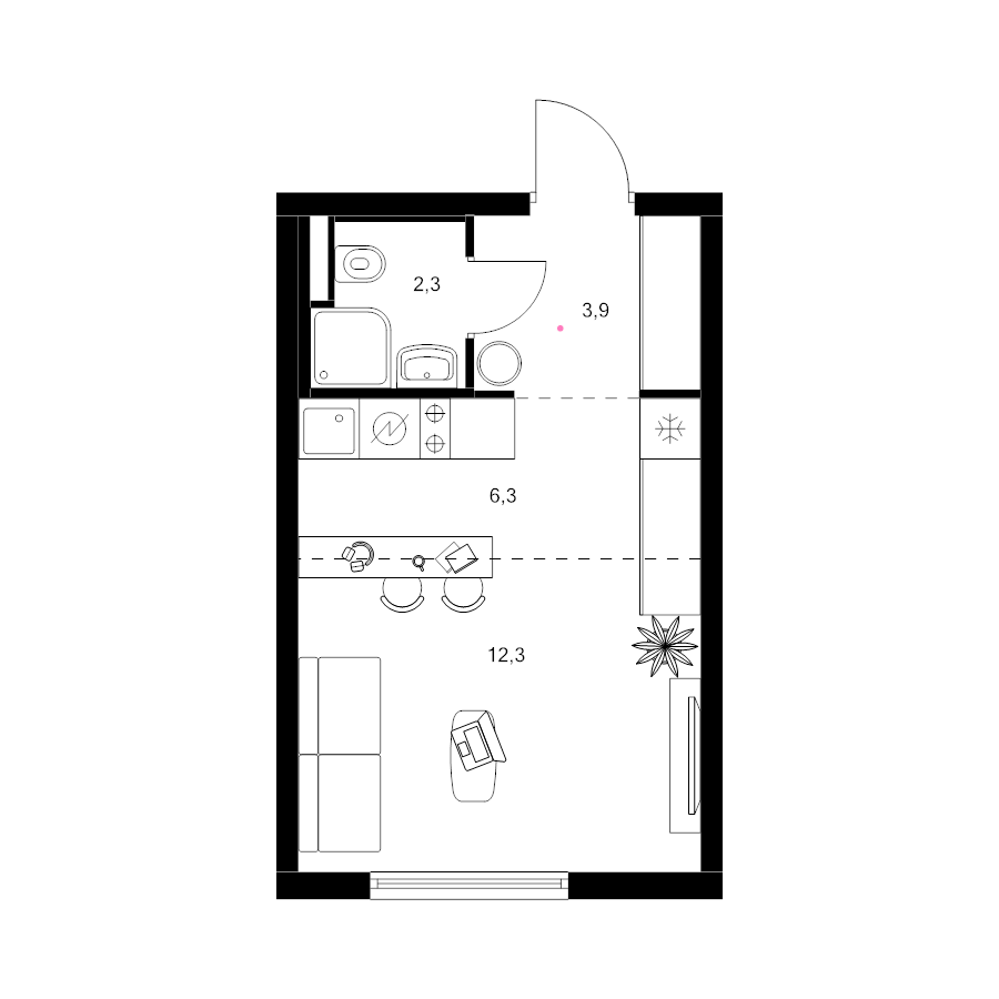 Студия 24,8 м²
