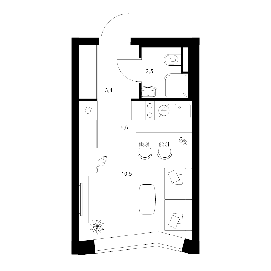 Студия 22 м²