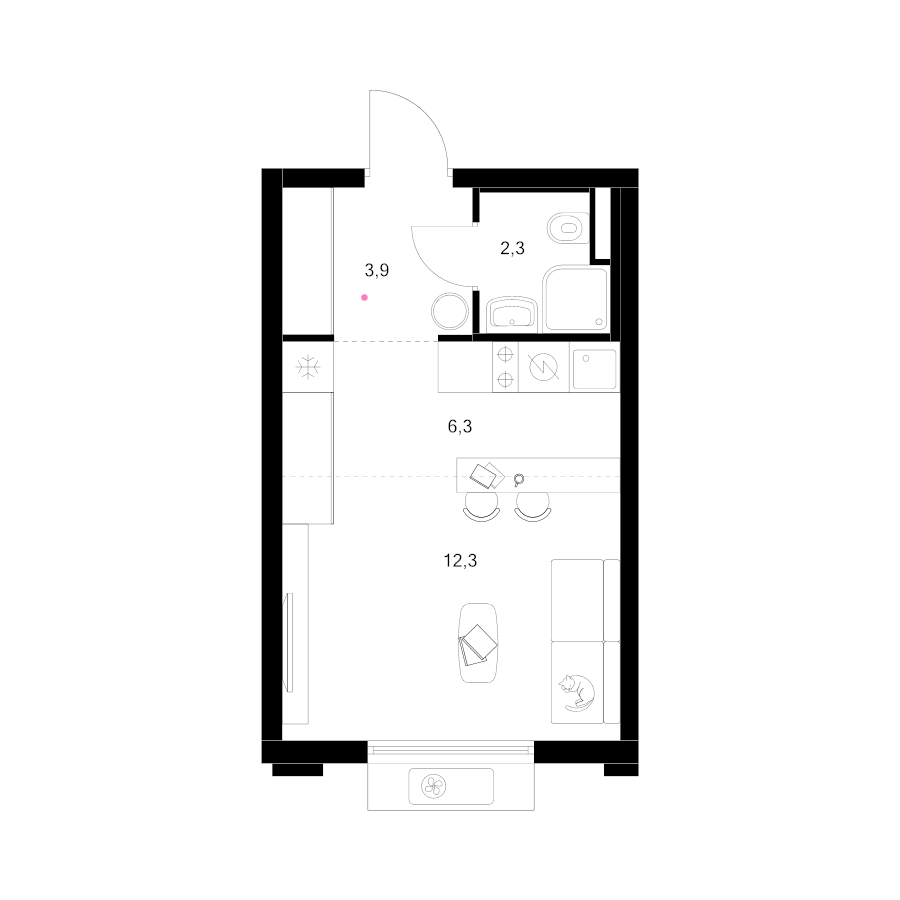 Студия 24,8 м²