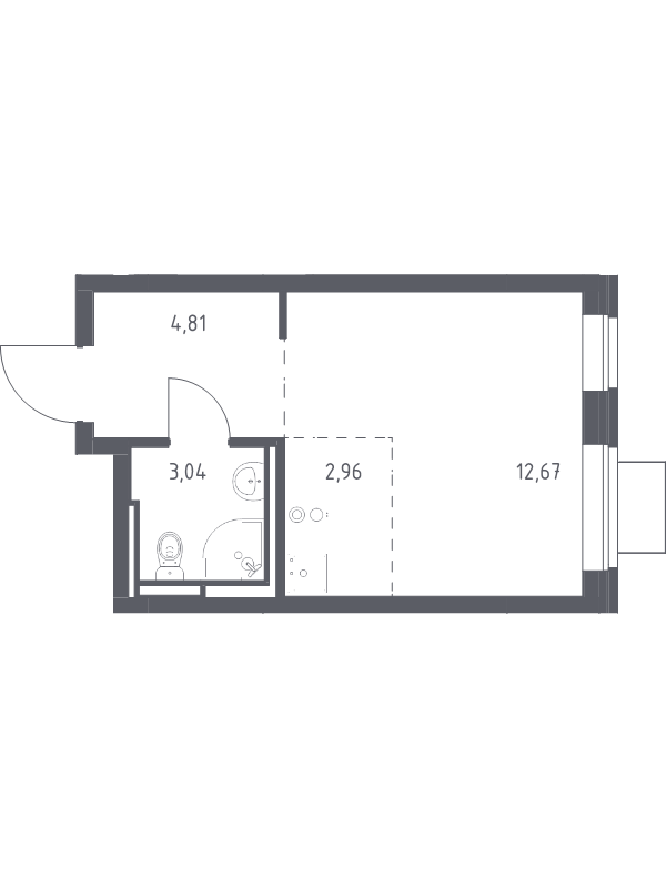 Студия 23,5 м²