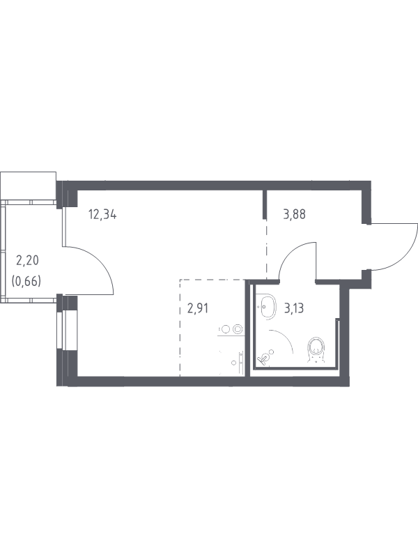 Студия 22,9 м²