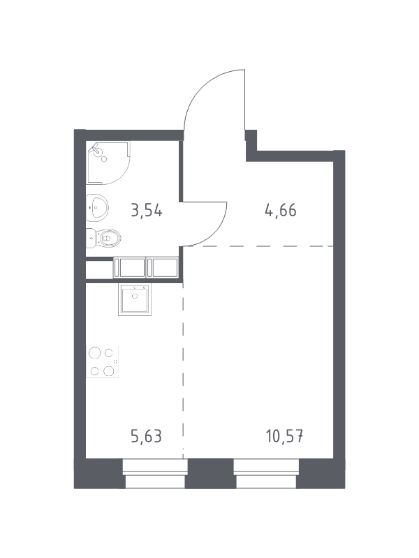 Студия 24,4 м²