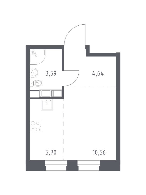 Студия 24,5 м²