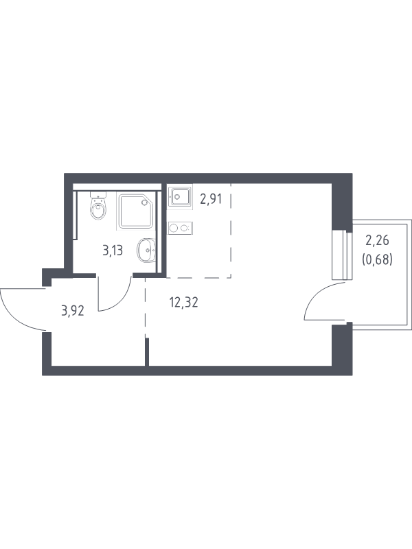 Студия 23,5 м²