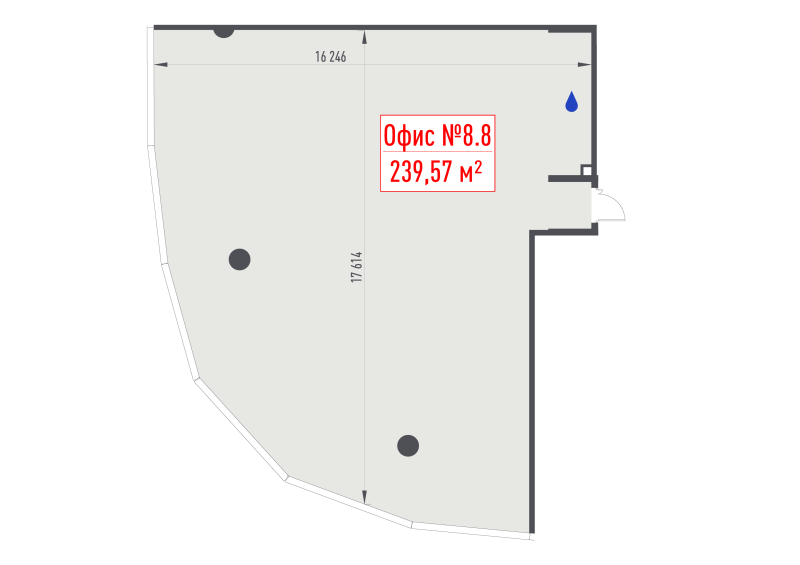 К. пом 239,6 м²
