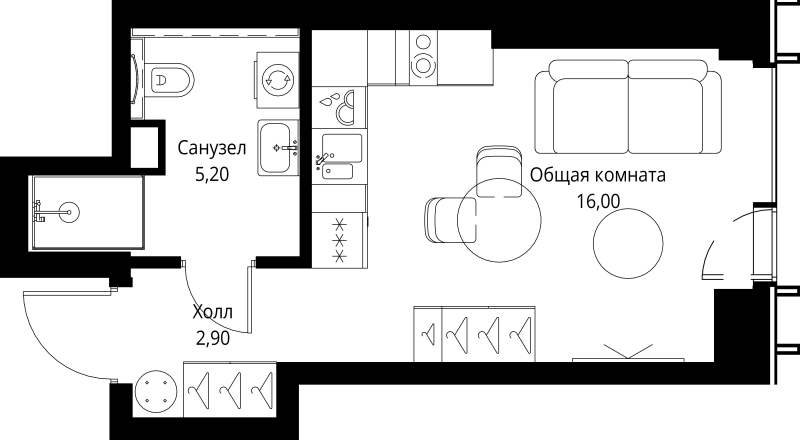 Студия 24,1 м²