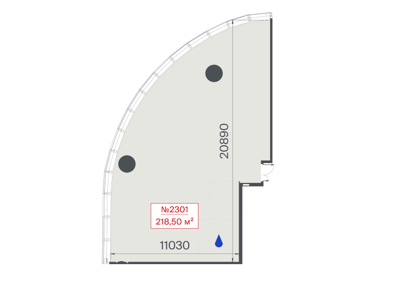 К. пом 218,5 м²