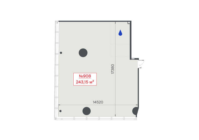 К. пом 243,2 м²