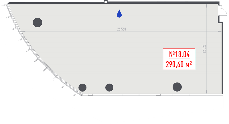К. пом 290,6 м²