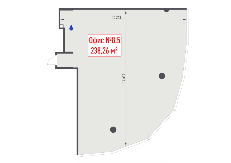 К. пом 238,3 м²