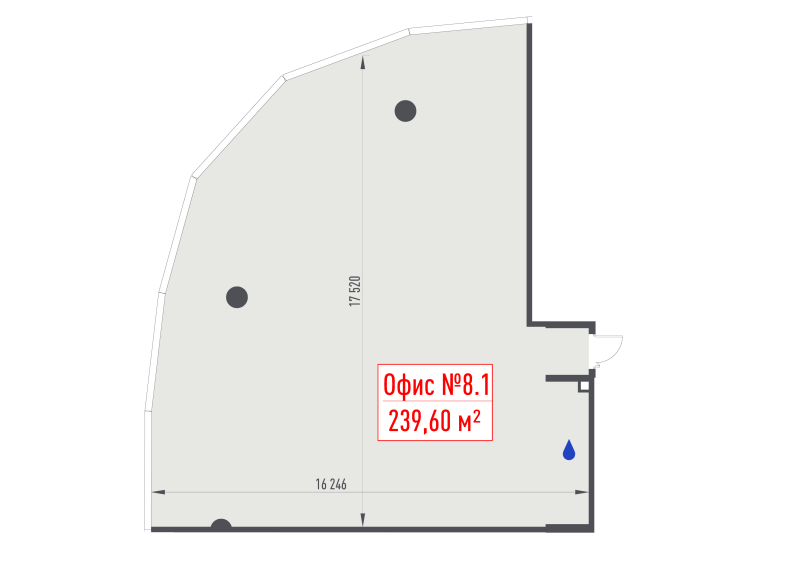 К. пом 239,6 м²