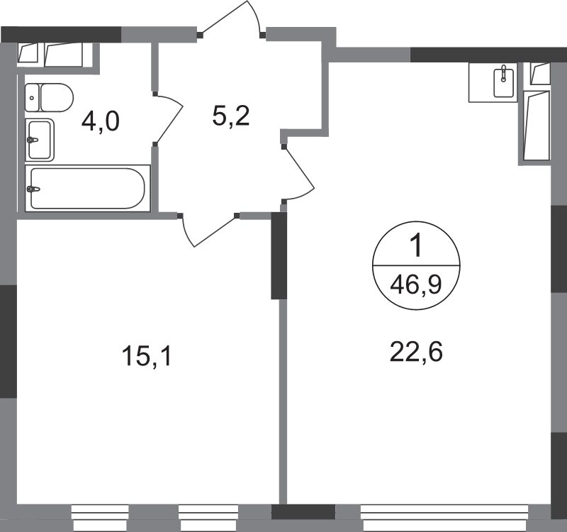 2 ккв (Евро) 46,9 м²