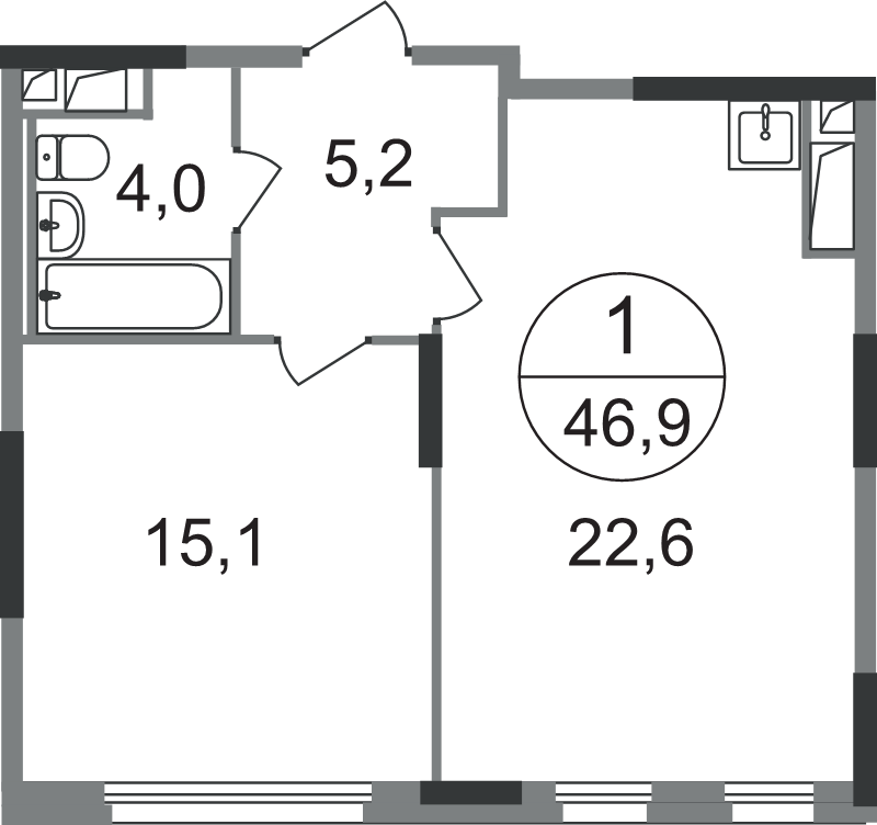 2 ккв (Евро) 46,9 м²