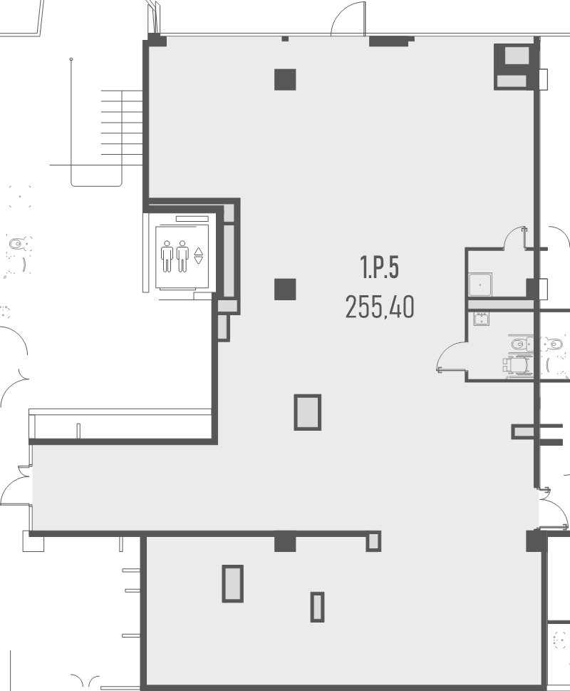 К. пом 255,4 м²