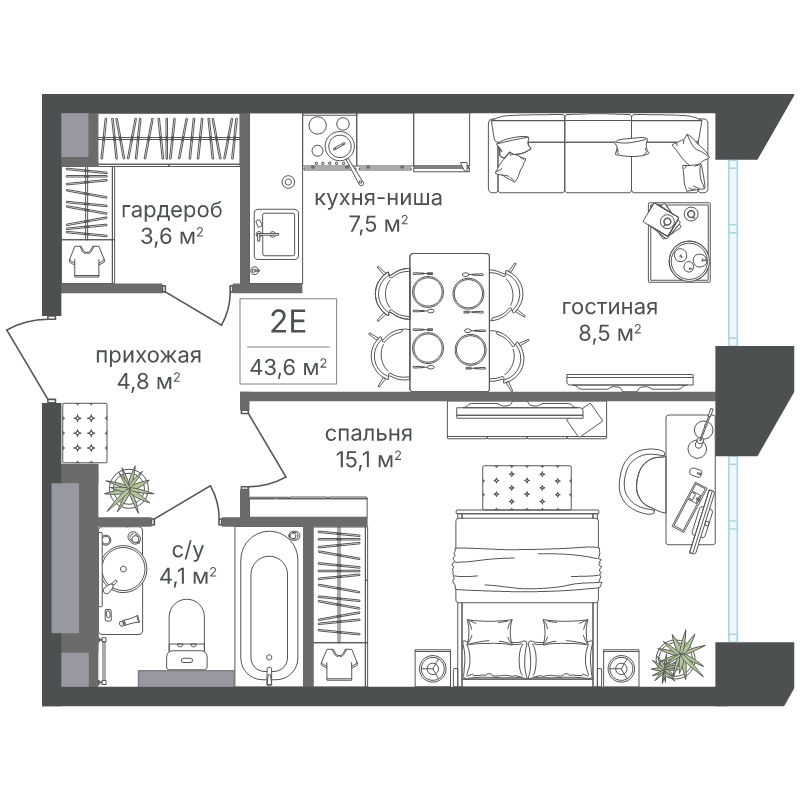 2 ккв (Евро) 43,6 м²
