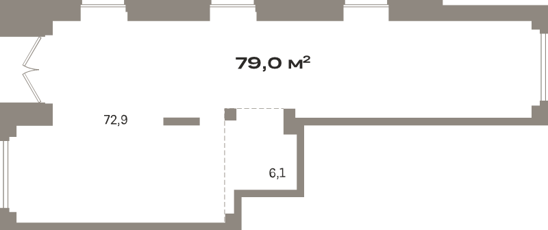 К. пом 79 м²