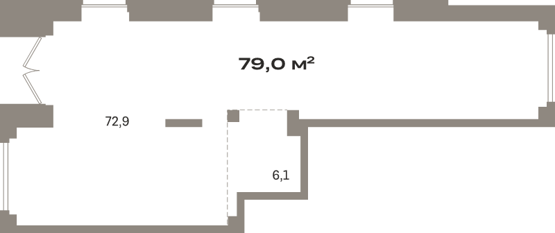 К. пом 79 м²