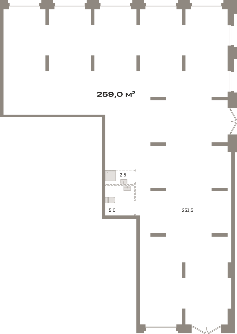 К. пом 259 м²