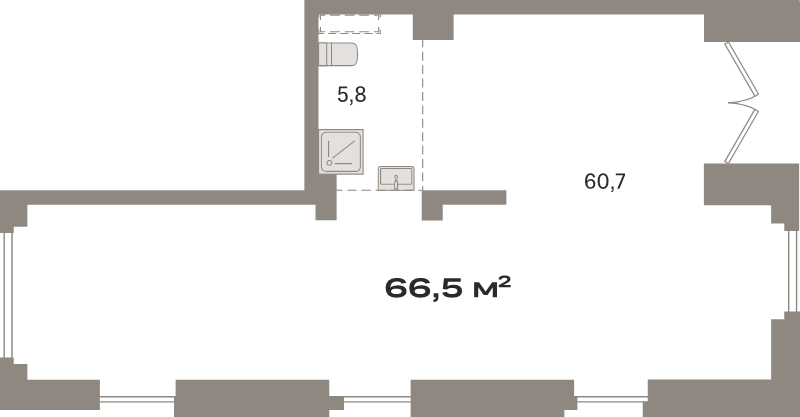 К. пом 66,5 м²