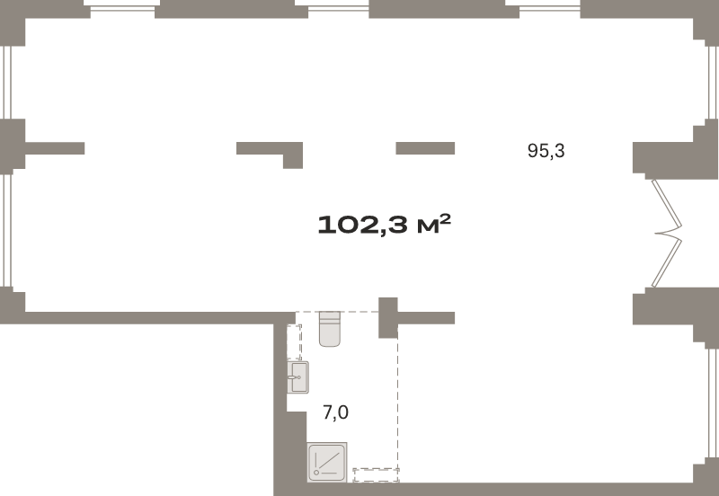 К. пом 102,3 м²