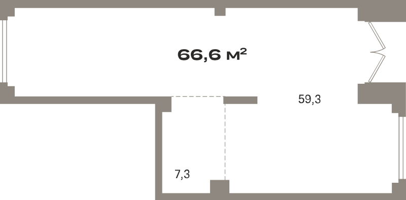 К. пом 66,6 м²