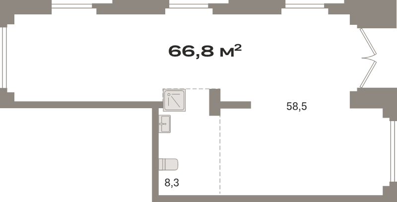 К. пом 66,8 м²
