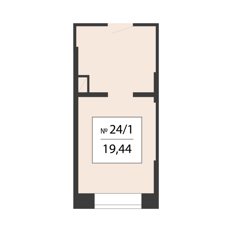 К. пом 19,4 м²