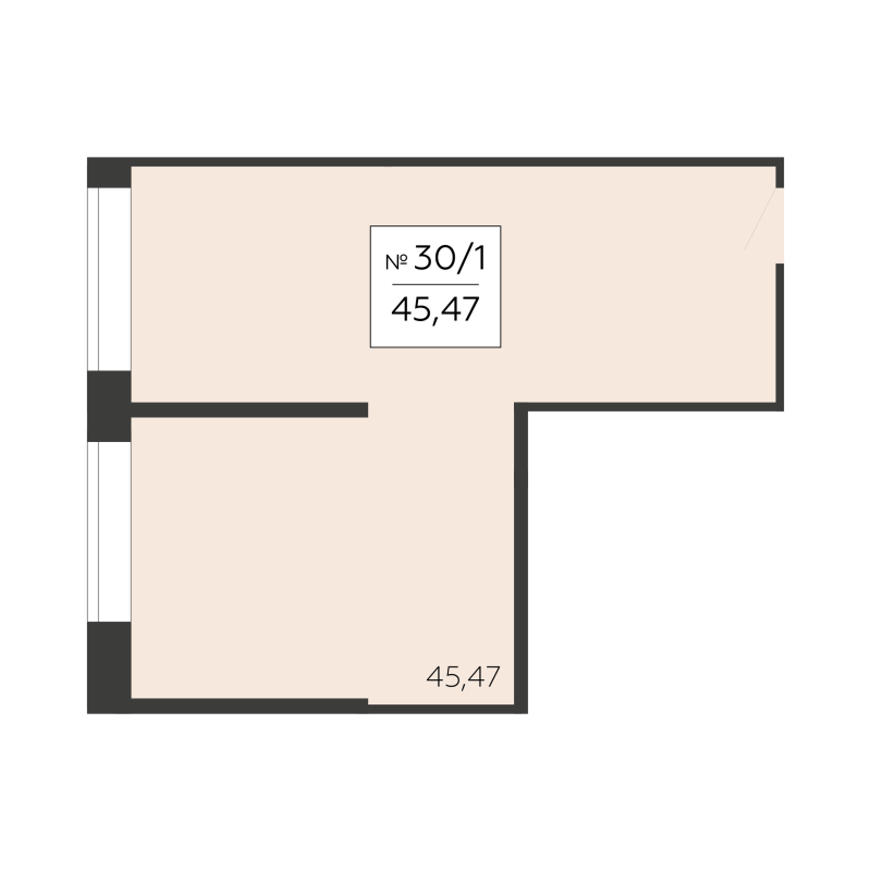 К. пом 45,5 м²