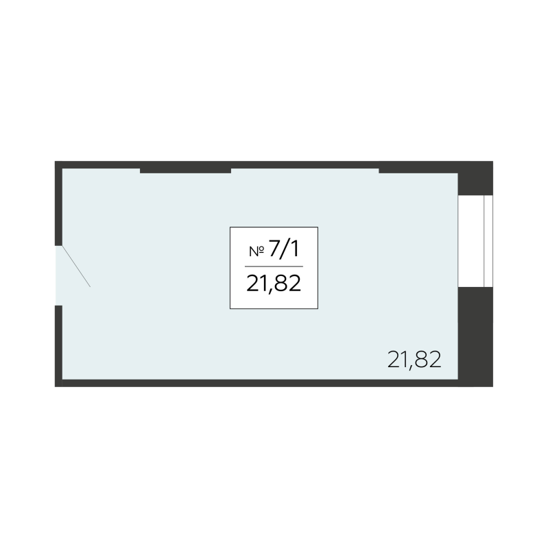 К. пом 21,8 м²