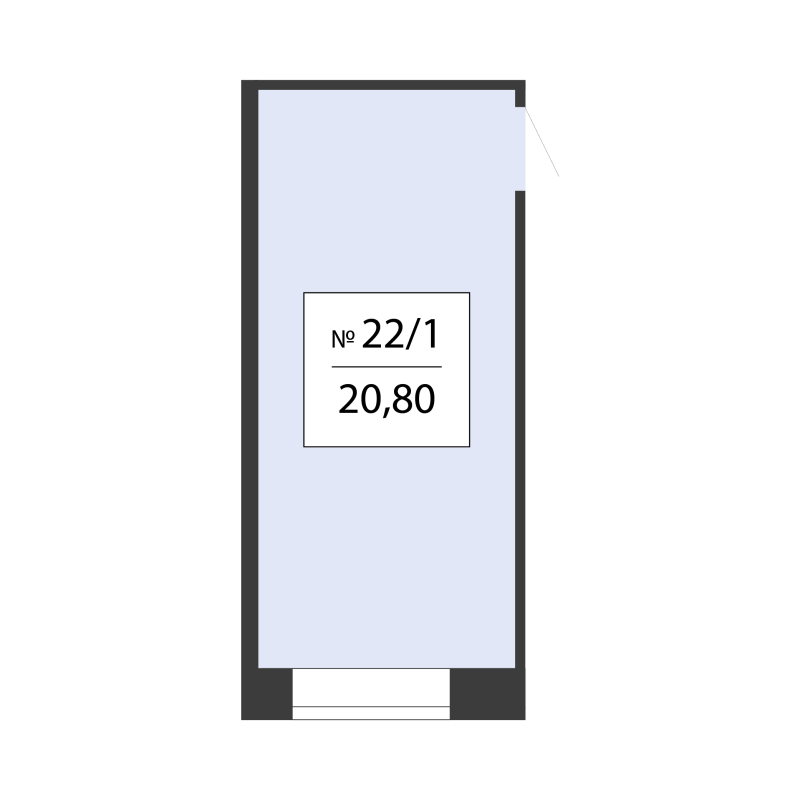 К. пом 20,8 м²