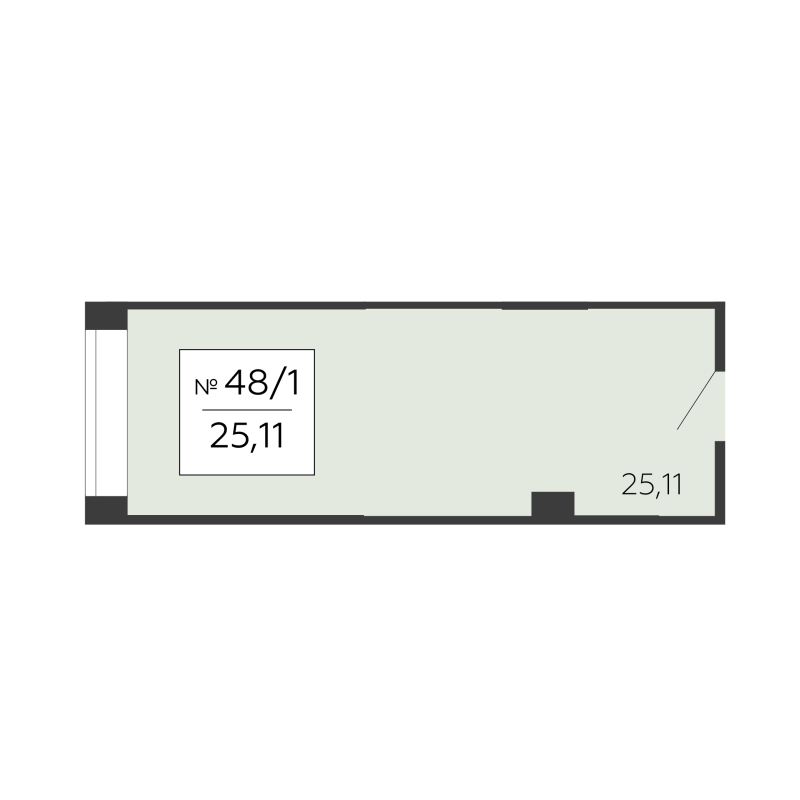 К. пом 25,1 м²