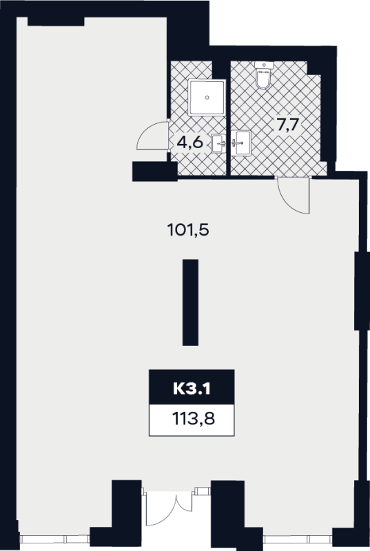 К. пом 113,8 м²