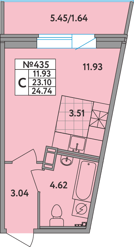 Студия 24,6 м²