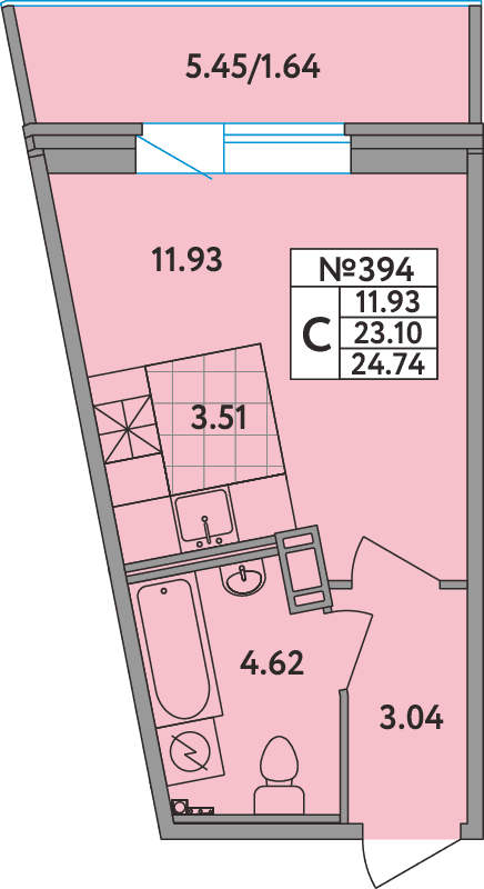 Студия 24,6 м²