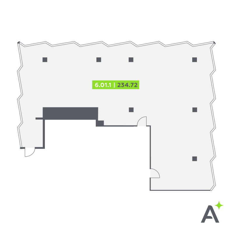 К. пом 235,1 м²