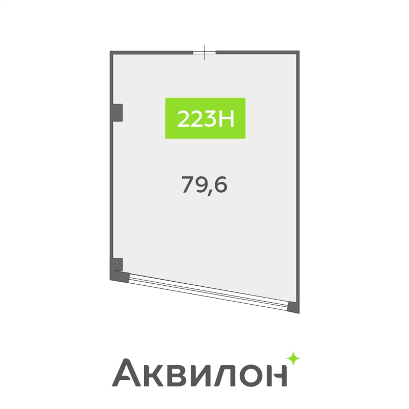 К. пом 79,6 м²