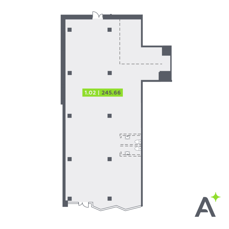 К. пом 245,7 м²