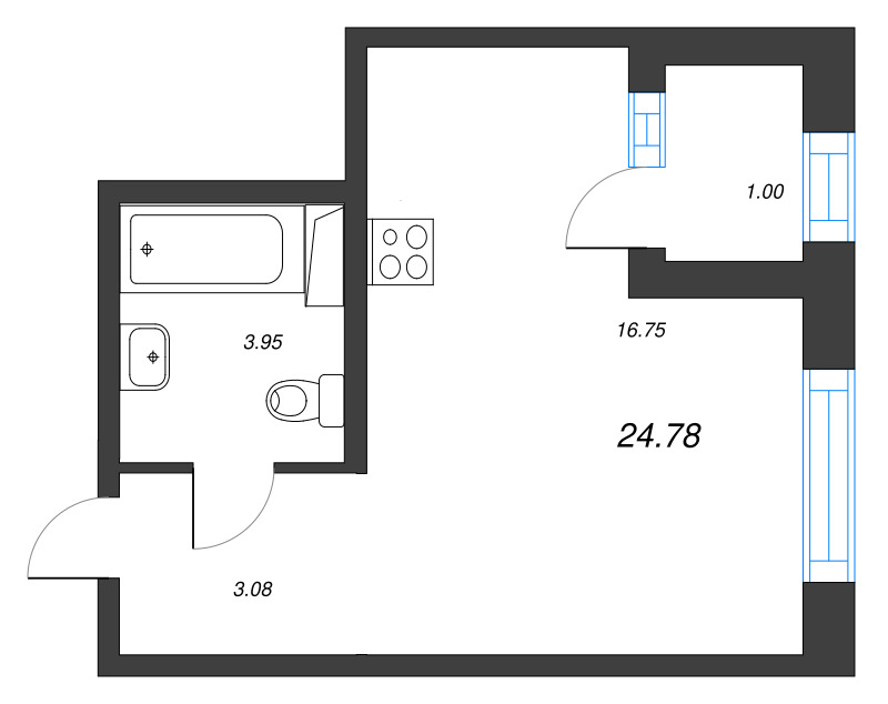 Студия 24,8 м²