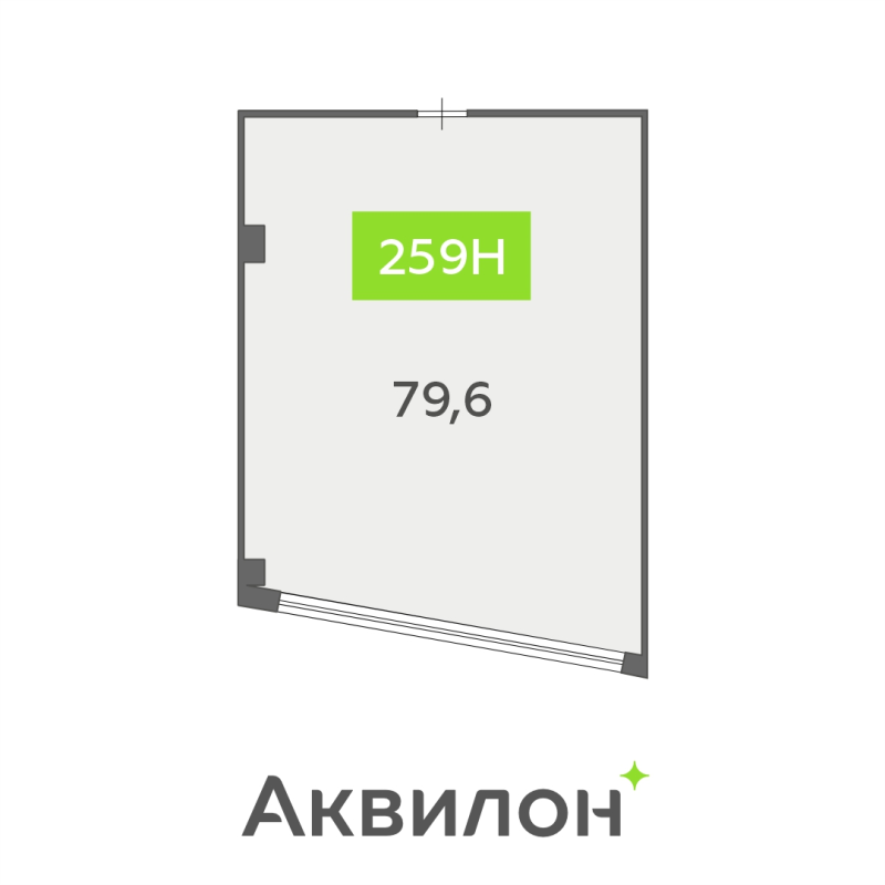 К. пом 79,6 м²