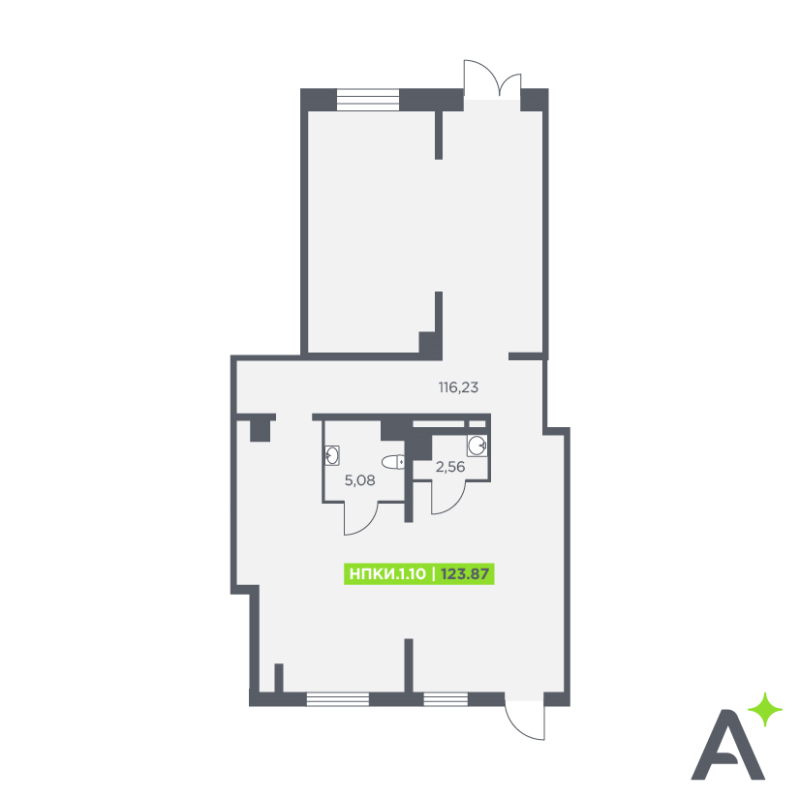 К. пом 123,9 м²