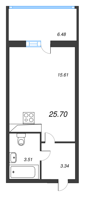 Студия 24 м²