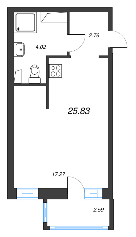 Студия 24,8 м²
