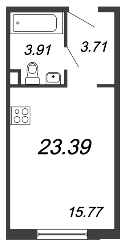 Студия 24,2 м²