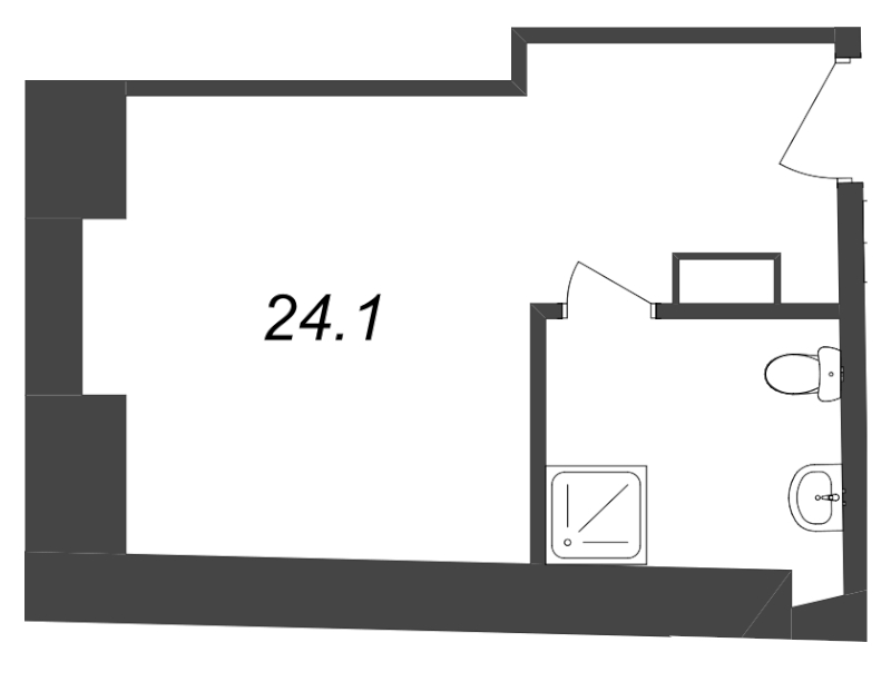 Студия 24,1 м²