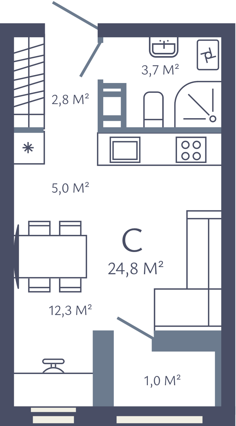 Студия 24,8 м²