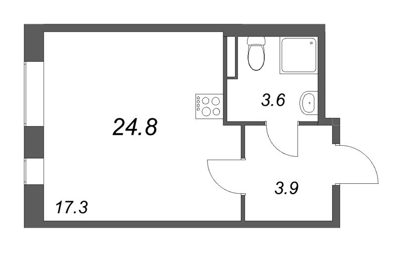 Студия 24,8 м²