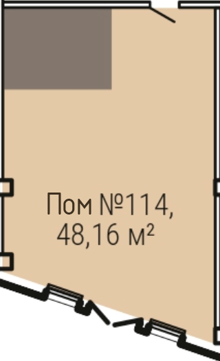 К. пом 46,1 м²