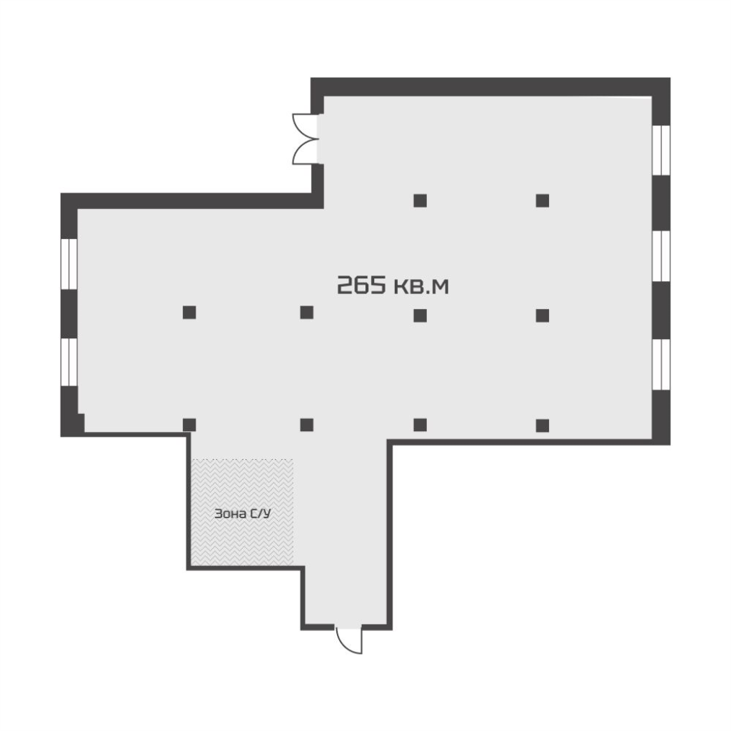 К. пом 264,3 м²