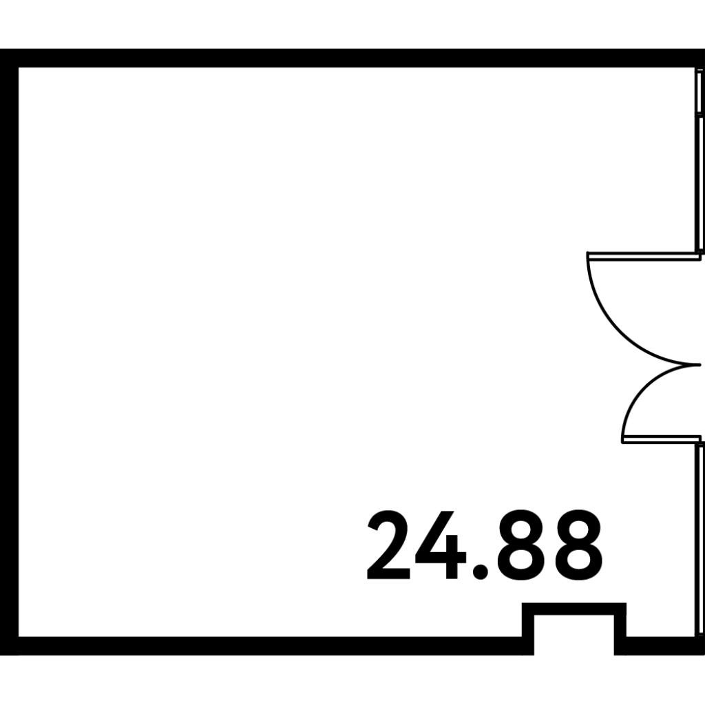 К. пом 24,8 м²