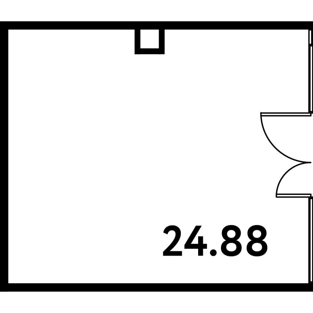 К. пом 24,8 м²